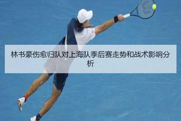 林书豪伤愈归队对上海队季后赛走势和战术影响分析