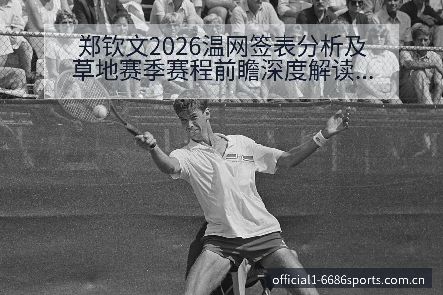 郑钦文2026温网签表分析及草地赛季赛程前瞻深度解读 - 6686体育